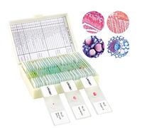 30 Muestras Microscopio Preparadas para Niños, Portaobjetos Preparados Microscopio, Especímenes de Plantas Animales Humana Cellular Bacterias, Biología Educación