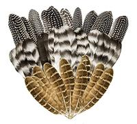30 Pcs Plumas de Pavo Natural, 5.3-7 Pulgadas Plumas de Faisán para Manualidades, 3 Estilos de Plumas Naturales para Disfraces de Carnaval, Máscaras de Plumas, Decoración de Bodas y Fiestas