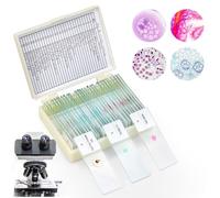 30 portaobjetos de microscopio con muestras biológicas, plantas insectos células humanas para laboratorio Biología y Ciencia Estudios, Accesorios Microscopio, Preparaciones Permanentes para