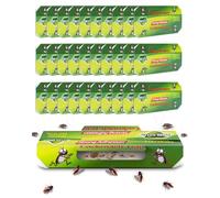 30 trampas para cucarachas, trampas adhesivas no tóxicas para el hogar, solución rápida y discreta contra cucarachas, parásitos e insectos en la cocina, el baño, el dormitorio - Seguro para niños y