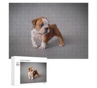 300 PCS Rompecabezas para Adultos English Bulldog Puppy Rompecabezas para Adultos Juegos De Relajación Carrera De Velocidad De Manos 300 PCS