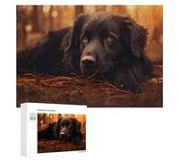 300 PCS Rompecabezas para Adultos Golden Hour Forest Dog Resting Rompecabezas para Adultos Juegos De Relajación Regalo De Cumpleaños Cumpleaños Y Navidad 300 PCS