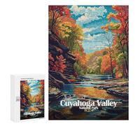 300 PCS Rompecabezas para Adultos Rompecabezas Cuyahoga Valley National Park Illustration Rompecabezas para Adultos Juguetes Antiestrés Juego Difícil Y Desafiante Regalos 300 PCS