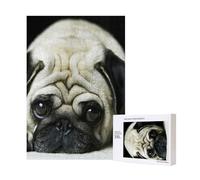 300 Piezas de Rompecabezas de Perros Pug tristes con Caja de Embalaje para Adultos - Rompecabezas de Madera