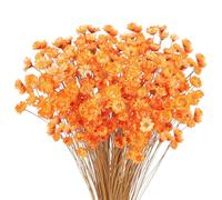 300 Piezas Flores Secas Brasileñas Flores Mini Flores Secas Naranja Flores Naturales de Gypsophila del Hogar Pequeña Estrella Decorativas Brasileñas Arreglo Floral Flor Flores Secas Ramo