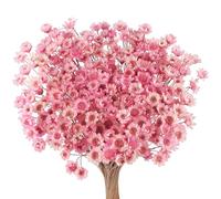 300 Piezas Flores Secas Brasileñas Mini Rosa Naturales de Gypsophila del Hogar Pequeña Estrella Decorativas Arreglo Floral Ramo Caja De Regalo
