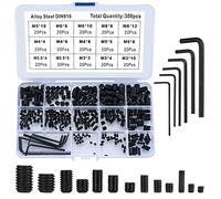 300 Piezas Tornillos sin Cabeza, Tornillos Prisioneros de Cabeza Hexagonal, M2.5/M3/M4/M5/M6/M8 Tornillo de Hexagonal de Acero Aleado con Llave Allen