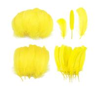 300 plumas amarillas, plumas para manualidades, manualidades con plumas, plumas naturales, decoraciones de plumas, que se pueden utilizar para hacer accesorios de ropa, sombreros y decoraciones de