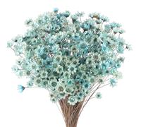 300 unidades de flores secas de color azul brasileño pequeña flor de estrella mini ramo de flores secas margaritas mini manzanilla ramo para arreglos florales boda 300 unidades Star Dried Flower