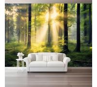 300 x 210 cm Fotomurales No Tejido Pintura Paisaje Selva Follaje A La Luz Del Sol, Verde Amarillo Papel Pintado Decoración de Pared, Murales póster Decorativos Murales para Dormitorio Infantil Salón
