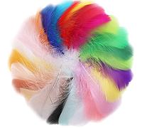 300Pcs Plumas de Ganso Plumas Naturales Manualidades Plumas de Colores de Decoracion Plumas Llamativas para Atrapasueños Bodas Fiesta de Cumpleaños Ropa Sombreros Máscaras Decoraciones,7-12cm