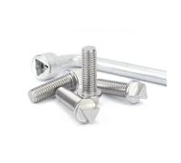 304 Stainless Steel M6 M8 M10 Outer Triangle Head Anti Theft Security Screws for Street Light Motor Box Guardrail(M6x25mm-5pcs)