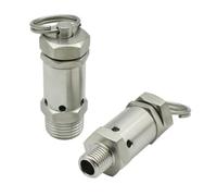 304 Stainless Steel Sanitary Micro Spring Safety Valve 1/4 "1/2" BSPT NPT Male 0.5-10 Bar Exhaust, Suitable For Air Compressors(1 Bar Fixed)