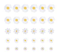 30PCS Parches Bordados, Parches Ropa Termoadhesivos-Parches Para Planchar Con Flores-Decorativos y Reparativos, Ideales Para Manualidades, Vaqueros, Ropa, Bolsas, Aplicación Con Plancha o Costura