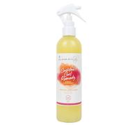 Les Secrets De Loly - Cocktail Curl Remedy - Espray Hidratante - 310 Ml