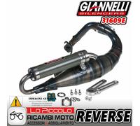 31609E Silenciador Giannelli Tubo de Escape Inversa Peugeot X-Fight 50 2001>