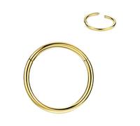 316l Surgical Steel Hinged Nose Rings Hoop 20G 18G 16G 14G 12G 10G 8G 6G, Diameter 5mm to 22mm, Gold - Rose Gold - Silver - Black - Blue - Rainbow