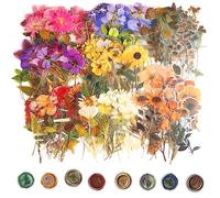 320 Piezas Pegatinas Florales Scrapbooking PET Nature Botanical Stickers Vintage Craft Pegatinas Transparente Colorful Flowers Stickers para Diario DIY Tarjeta Álbum Teléfono
