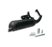 3216582 Silenciador MALOSSI Wild León Homologada Aprilia Sr 50 2T LC Piaggio
