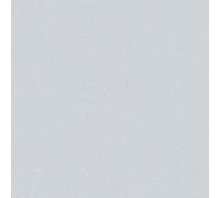 32731 - El Nuevo Textura Brillante Liso Gris Claro Galerie Papel Tapiz
