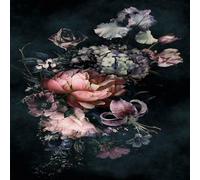 32755 - City Glam Floral Wall Panel Negro Multicolor Galerie Papel Tapiz