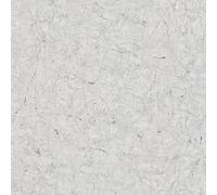 32803 - El Nuevo Texturas Textura Craquelada Gris Claro Azul Galerie Papel Tapiz