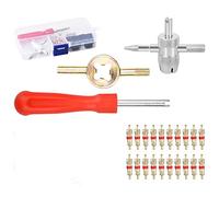 33 Pcs Juego de Núcleos Válvula, 20 Pcs Obús Válvula Cobre, 10 Pcs Tapas Válvula de Neumático, 4 en 1 Herramienta Válvula, Herramienta de Reparación, Llave Núcleo de Válvula, para Coche Moto Bicicleta
