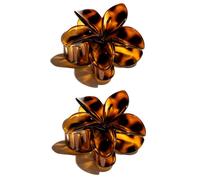 ¡34% DTO! Oh My Hair Set 2 Pinzas Carey Flores