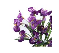 36 pulgadas, 3 flores artificiales de iris, 9 cabezas, ramo de flores, tallos largos de flores falsas para flores de aspecto real, fiestas y bodas, centros de mesa de comedor (morado)