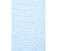 365-Day Journal - A Year of Thoughts: Baby Blue Crocodile Skin-Inspired Cover Design | Lined Pages for Daily Notes and Reflections - With Monthly Inspirational Quotes. A Thoughtful Gift for New Moms.