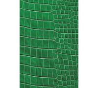365-Day Journal - A Year of Thoughts: Emerald Green Crocodile Skin-Inspired Cover Design Notebook | Lined Pages for Daily Thoughts, Notes, and ... Gift for Someone Who Has Everything