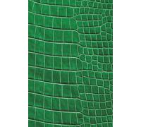 365-Day Journal - A Year of Thoughts: Emerald Green Crocodile Skin-Inspired Cover Design Notebook | Lined Pages for Daily Thoughts, Notes, and ... Gift for Someone Who Has Everything