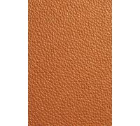 365-Day Journal - A Year of Thoughts: Gold/Brown Togo Leather-Inspired Cover Design Notebook | Lined Pages for Daily Notes and Reflections - With ... Gift for Someone Who Has Everything