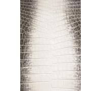 365-Day Journal - A Year of Thoughts.: Himalayan Crocodile Skin-Inspired Cover Design | Lined Pages for Daily Notes and Ideas - With Monthly Inspirational Quotes.