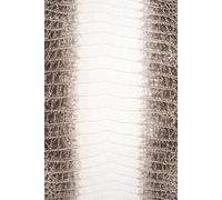 365-Day Journal - A Year of Thoughts.: Himalayan Crocodile Skin-Inspired Cover Design | Lined Pages for Daily Notes and Ideas - With Monthly Inspirational Quotes.
