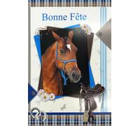 37-056-1 - Tarjeta de felicitación para caballo, ideal para niña, caballo, caballo, caballo, caballo, con sobres de tamaño 12 x 17,5 cm, diseño de Santa Catalina, 25 de noviembre de hierro