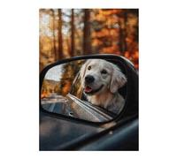 38x26cm/1000pcs Rompecabezas para Adolescentes Golden Retriever Side Mirror View Rompecabezas para Adolescentes Juego De Ingenio Decoración Perfecta Regalos De Cumpleaños Y Únicos 38x26cm/1000pcs