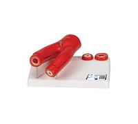3B Scientific G40 Modelo de Arteriosclerosis Con Sección Transversa de la Arteria, de 2 Piezas - 3B Smart Anatomy