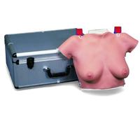 3B Scientific L50 Modelo Para la Autoe x aminación de Mamas Para Colgar