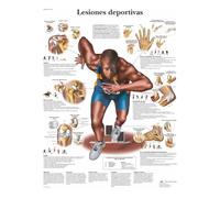 3B Scientific - Laminado Lesiones Deportivas Cartel - Póster de Anatomía Protegido contra UV y Polvo para Estudio, Enseñanza y Clínicas