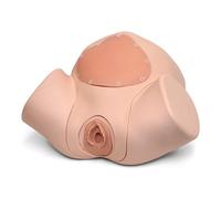 3B Scientific® Módulo de Entrenamiento de Episiotomía y Sutura - Accesorio de simulador de parto con piel clara para práctica de reparación perineal y sutura