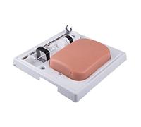 3B Scientific P120 Sonotrain, Modelo de Venas