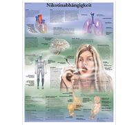 3B Scientific - Póster explicativo sobre laminado - nicotina Dependencia