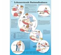 3B Scientific - Póster explicativo sobre laminado - vida Starrett Extremo Base Medidas