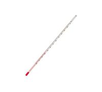 3B Scientific U14295 - Termómetro de tubo graduado