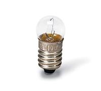 3B Scientific U29512 - Bombillas E10, 12 V, 100 mA, 10 unidades