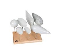 3B Scientific U8404260 Juego de Cuerpos de Resistencia y Empuje