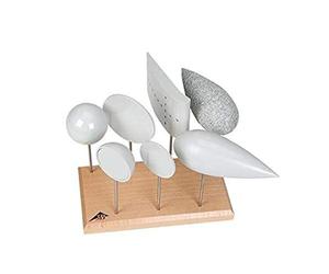 3B Scientific U8404260 Juego de Cuerpos de Resistencia y Empuje