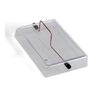 3B Scientific U8491791 Conductor Recto sobre Base de Vidrio Acrílico