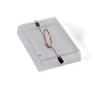 3B Scientific U8491792 Bucle Conductor sobre Base de Vidrio Acrílico